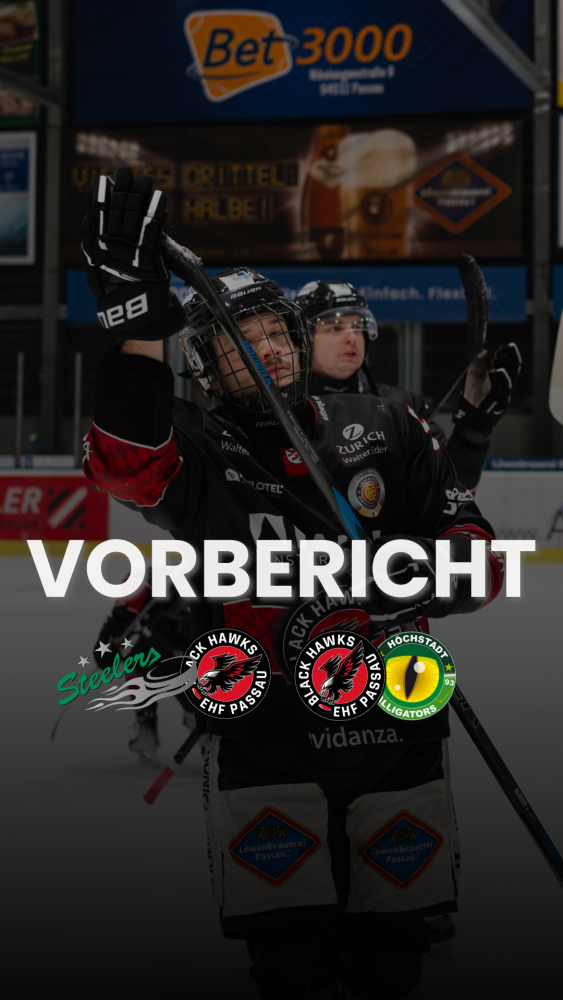 Freitag zu Gast in Bietigheim – Freibier beim Heimspiel gegen Höchstadt